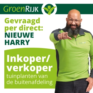 Gevraagd per direct: NIEUWE HARRY