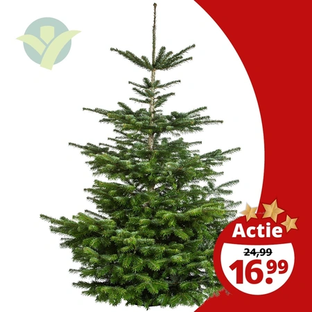 Actie Nordmann 110 / 149cm