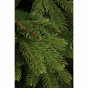 BLACK BOX Kerstboom Brampton d125h215cm Groen - afbeelding 2