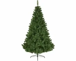 EVERLANDS Imperial Pine l120cm Groen