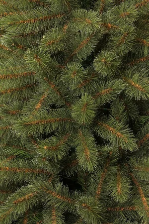 BLACK BOX Kerstboom toronto d114h155cm groen - afbeelding 2