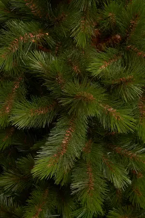 TRIUMPH TREE Kerstboom wyoming d127h185 groen - afbeelding 2