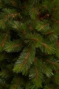 TRIUMPH TREE Kerstboom wyoming d127h185 groen - afbeelding 2